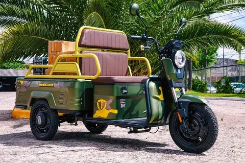 Tailg V6 Eléctrica 2026