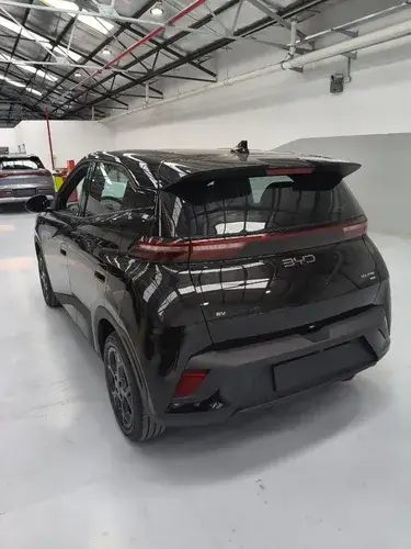 BYD Dolphin Mini Gs 2026