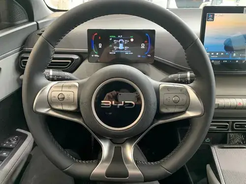 BYD Dolphin Mini GS 2026
