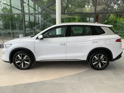BYD Song Pro GS (ADAS) 2026