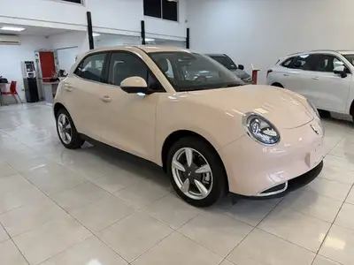 GWM Ora 0.0 03 (48Kwh) 2026