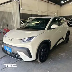 BYD Dolphin Mini 0.0 Gs 4As (43,2Kwh) 2026