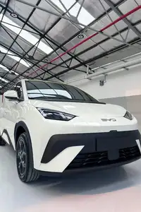 BYD Dolphin Mini Gl 2026