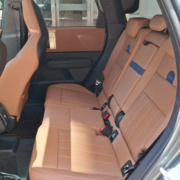 Countryman 2.0 Favoured All4 2026