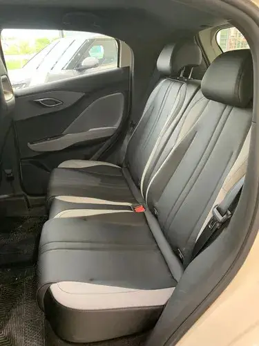 BYD Dolphin Mini GS 2026