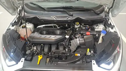 Ford Ecosport 2.0 Gdi Storm 170Cv 4X4 2019