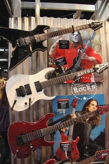 Ibanez22.jpg