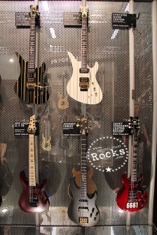 Schecter20.jpg