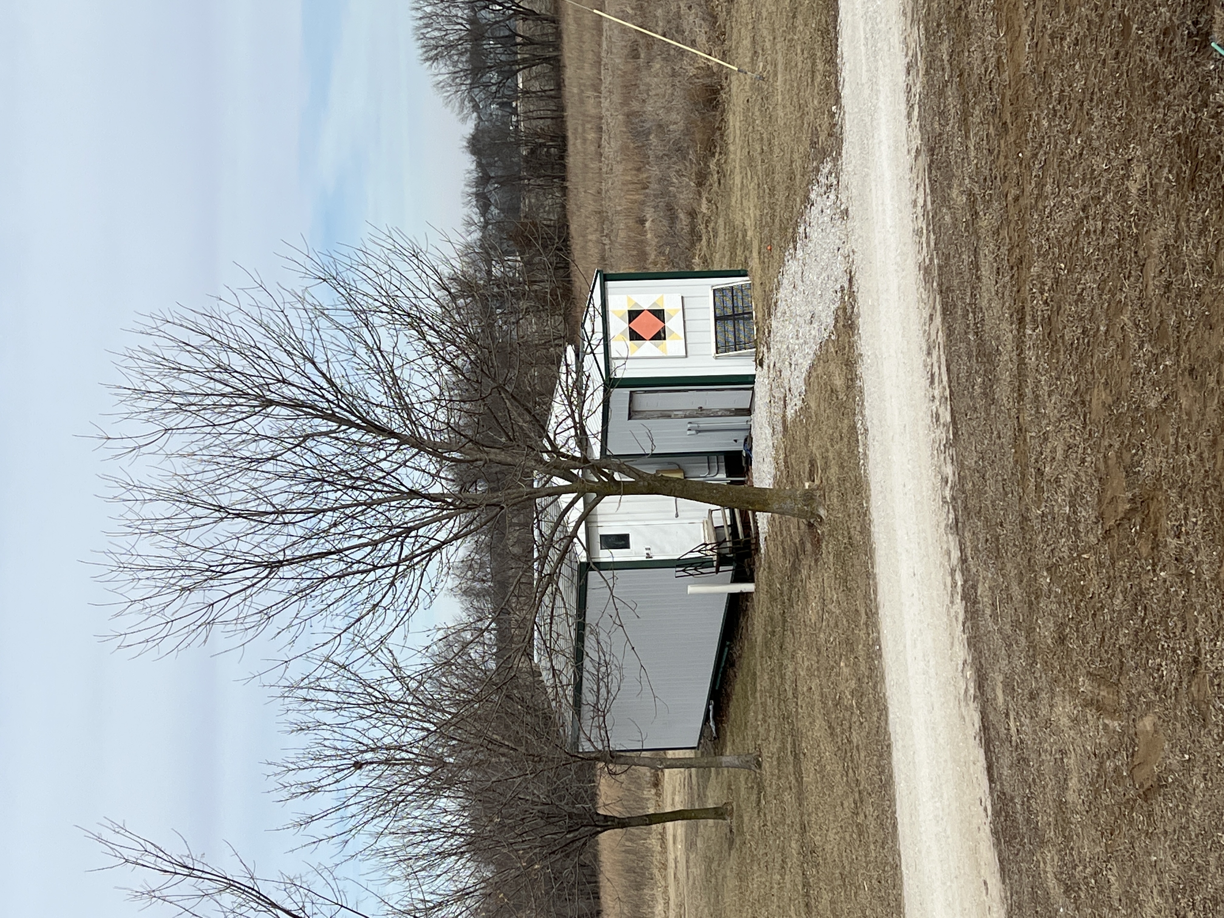 Ashlawn Boarding Kennel