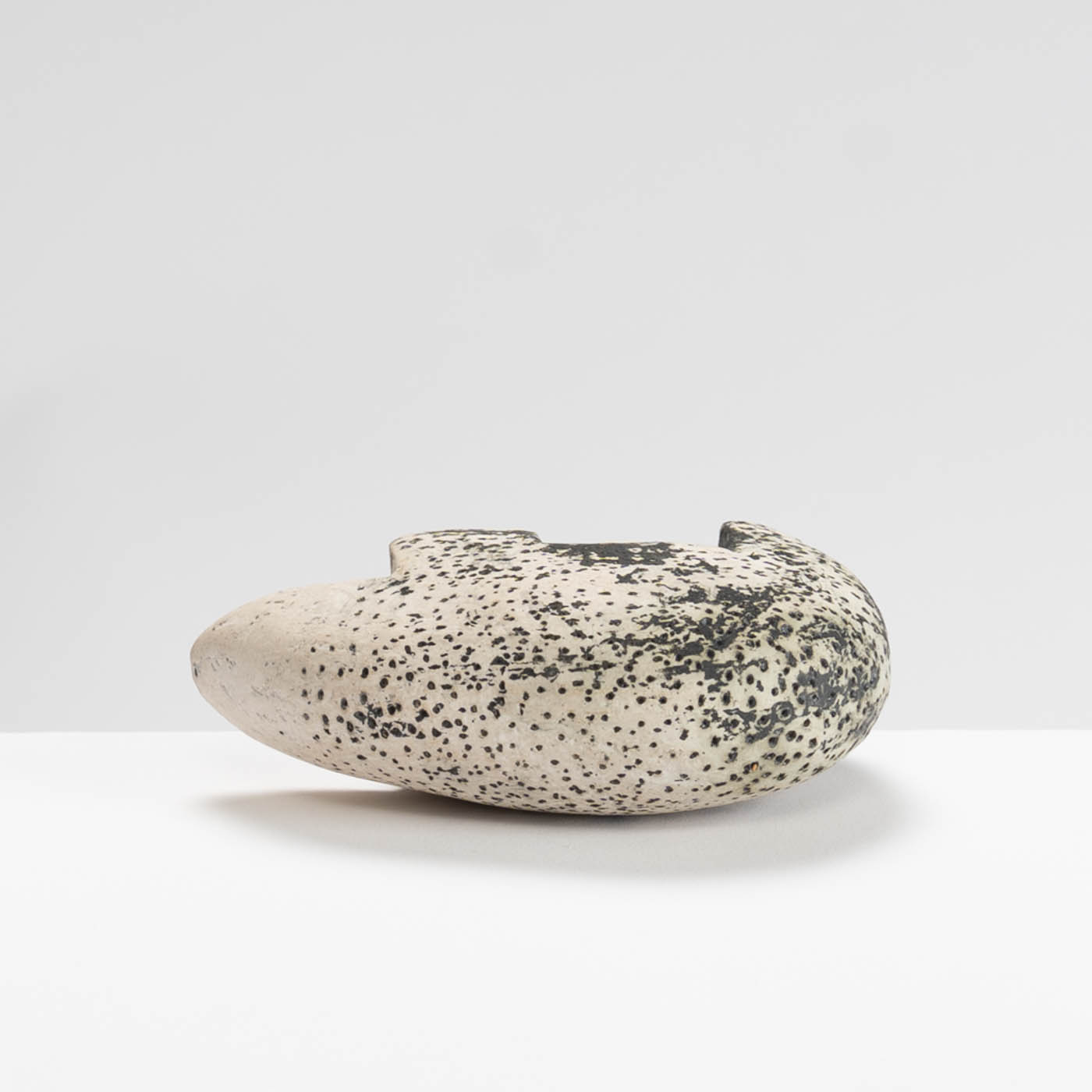 SV569Y7 Carrier Beast no Load