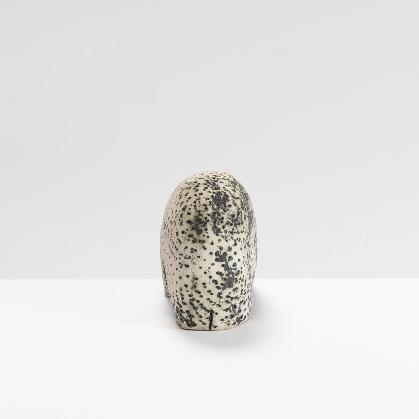 SV569Y7 Carrier Beast no Load