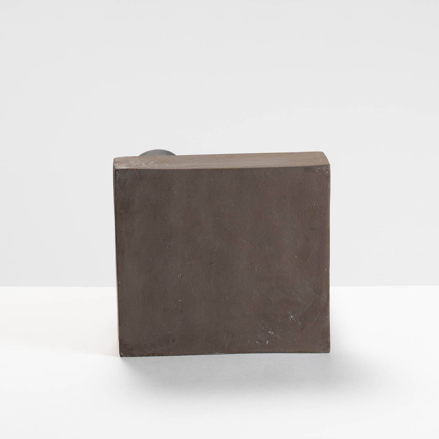 CI425Y84 Pulverulenta