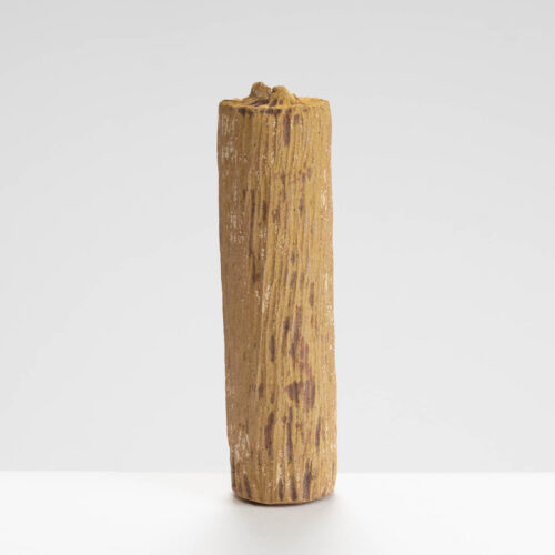 LB556Y131 Bottle Form