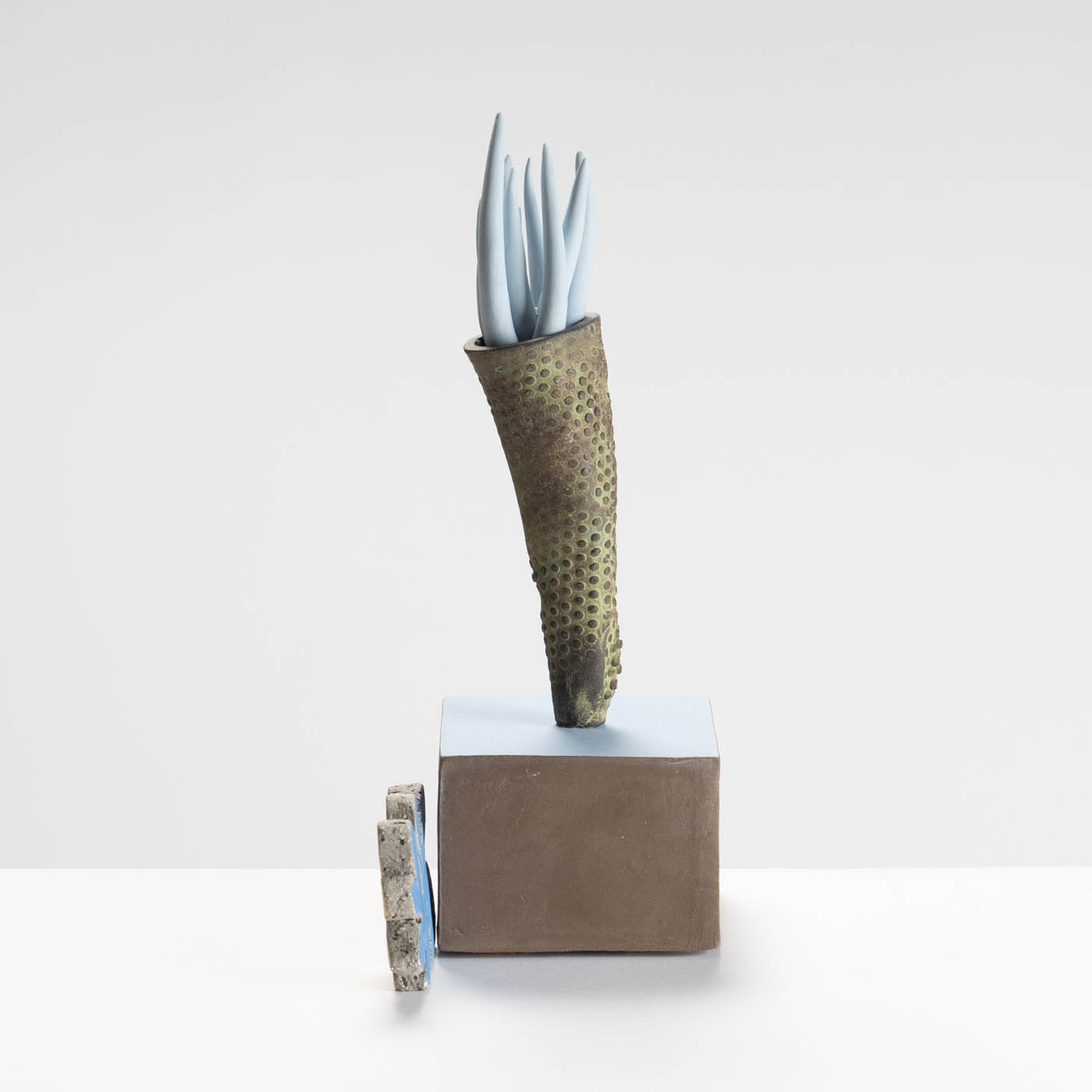 CI425Y83 Flavo Fluctus