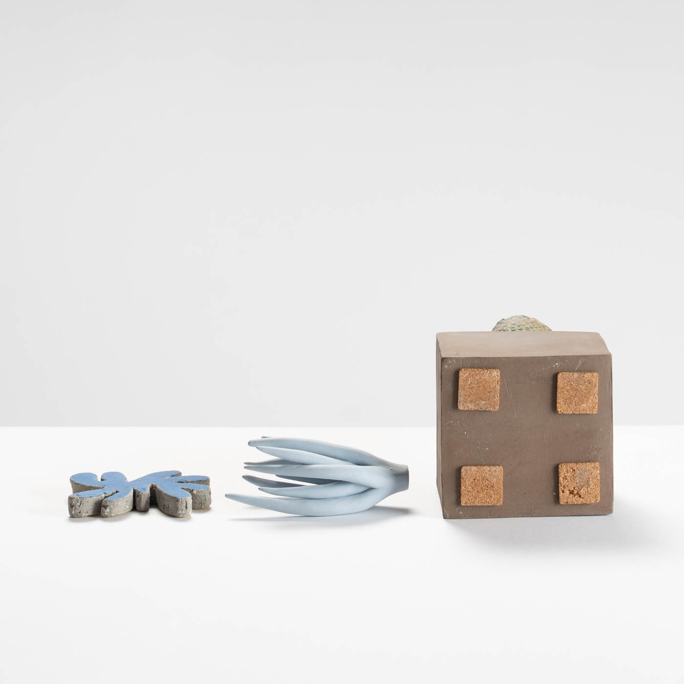 CI425Y83 Flavo Fluctus