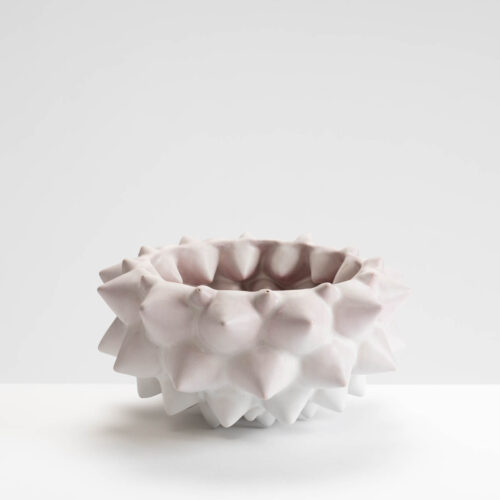 AH558Y4 Bellis Pollen I