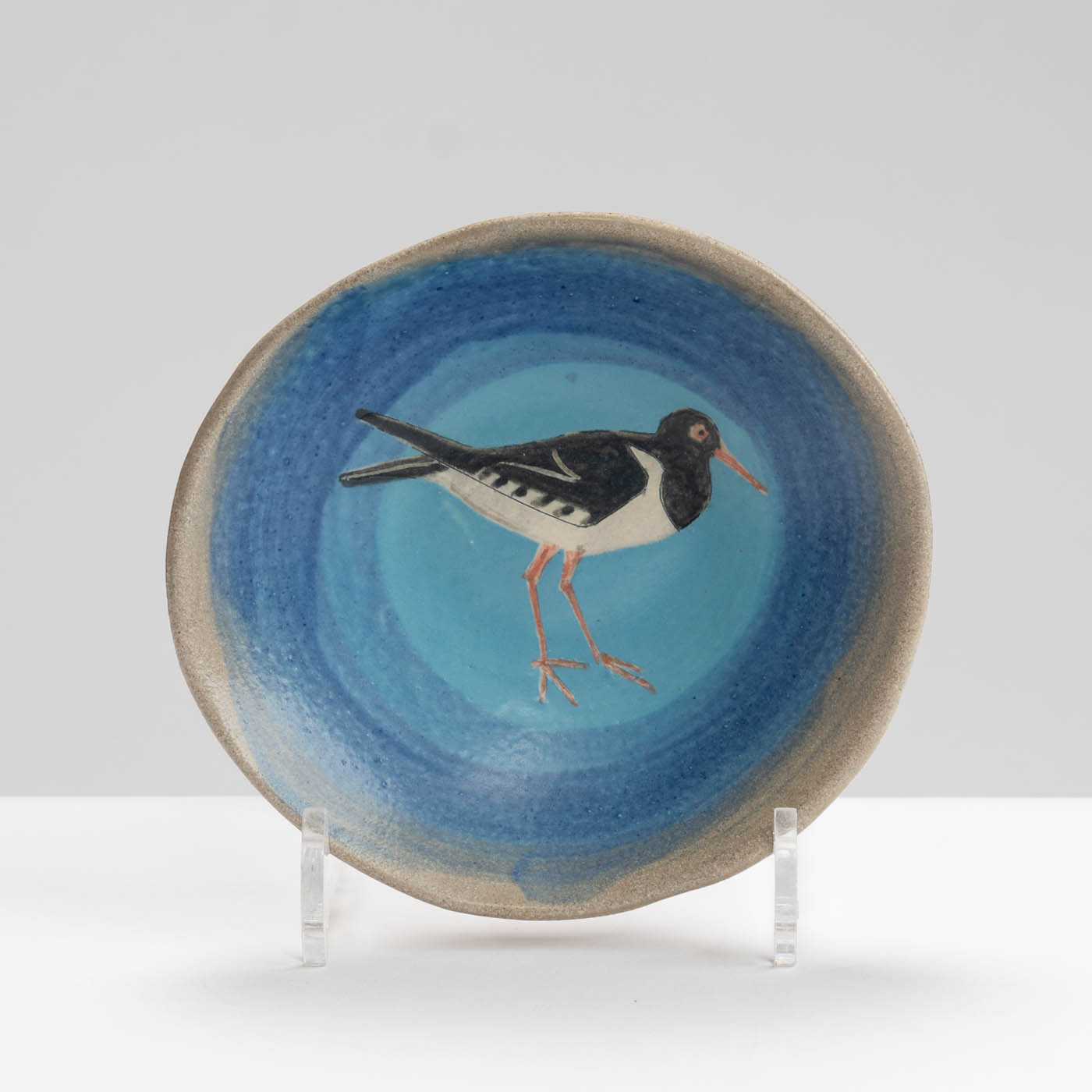 JFK394Y434 Small Plate Oystercatcher Blues