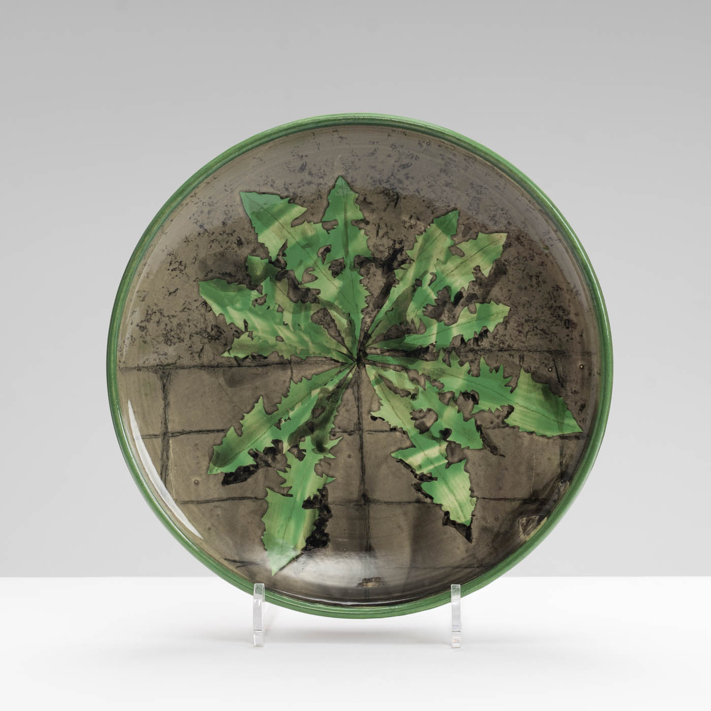 SM242Y1001 Plate - Dandelion leaves on grey