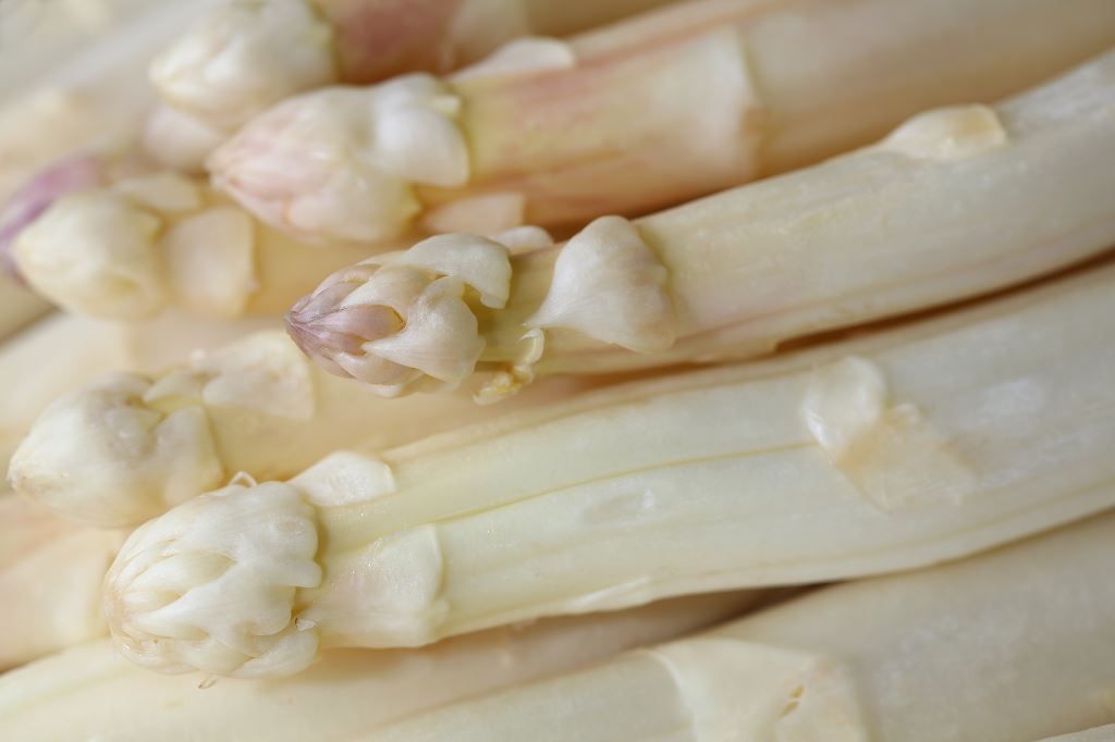 Asperges blanches 25/34 - D'AUCY - Boite 4/4