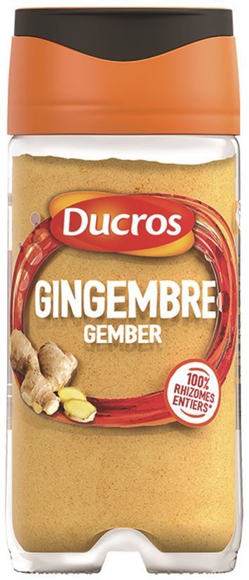 Gingembre moulu - DUCROS - Pot de 26 g