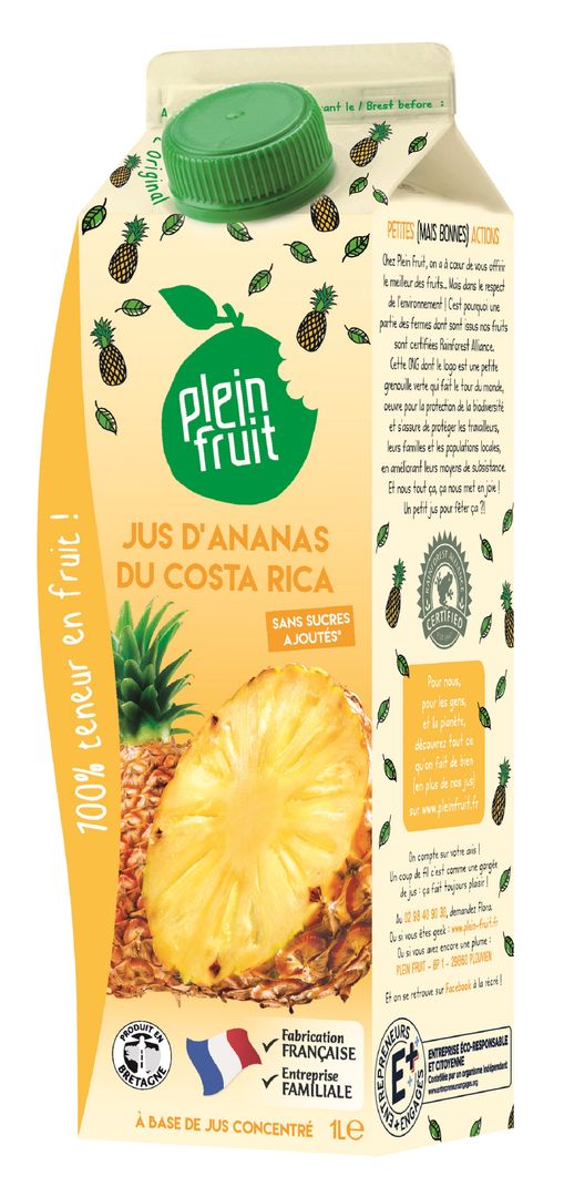 Jus d'ananas du Costa Rica - PLEIN FRUIT - Carton de 6 briques