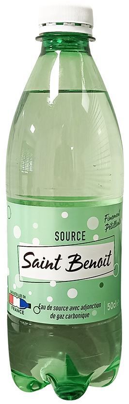 Eau gazeuse Saint Benoit - ST BENOIT - Carton de 24 bouteilles