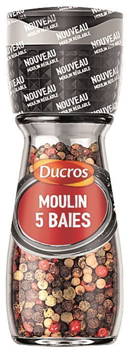 MOULIN POIVRE 5 BAIES 40 gr