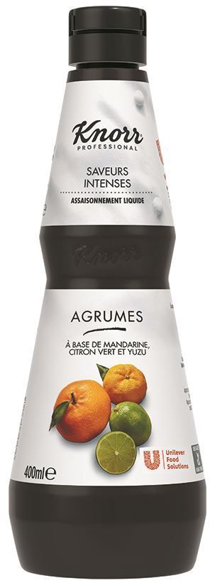 Assaisonnement agrumes Saveurs Intenses - KNORR - Bouteille de 400 ml