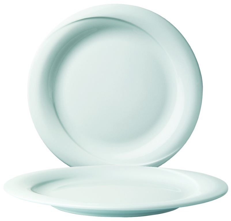 Assiette plate porcelaine Xtanbul 25cm - Carton de 12