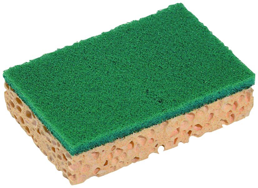 Abrasif sur éponge vert 13x8,4cm - SPONTEX - Paquet de 10