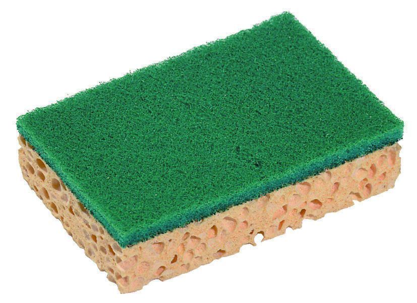 Abrasif sur éponge vert 11x7cm - SPONTEX - Paquet de 10