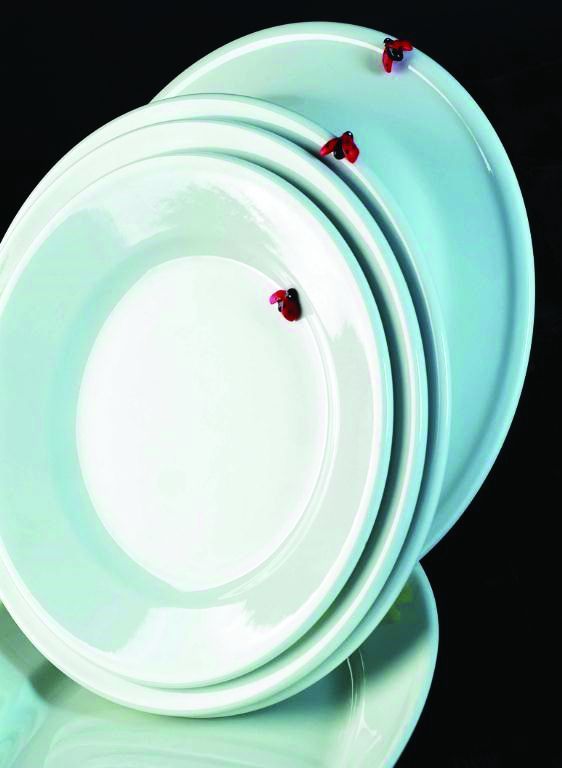 Assiette plate porcelaine Bourrelet 17cm - SARREGUEMINES VAISSELLE - Carton de 12