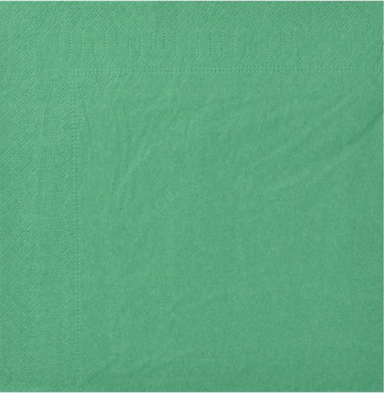 Serviette ouate 2 plis 30x40cm vert lumière - CGMP - Carton de 2400