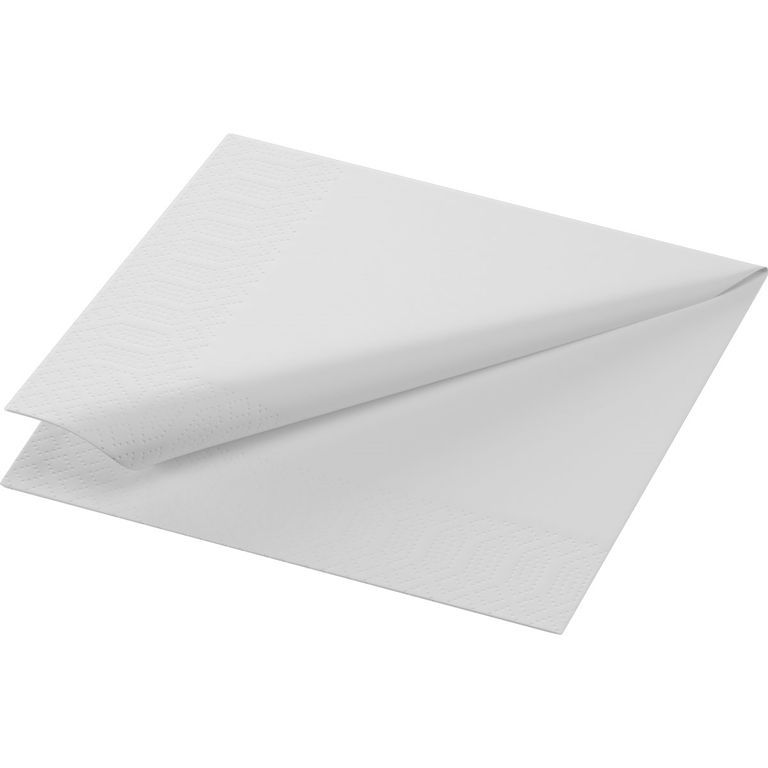 Serviette ouate 2 plis 24x24cm blanche - DUNI - Carton de 2400