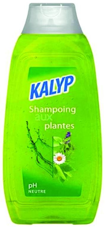 Shampooing aux plantes - Flacon de 500ml