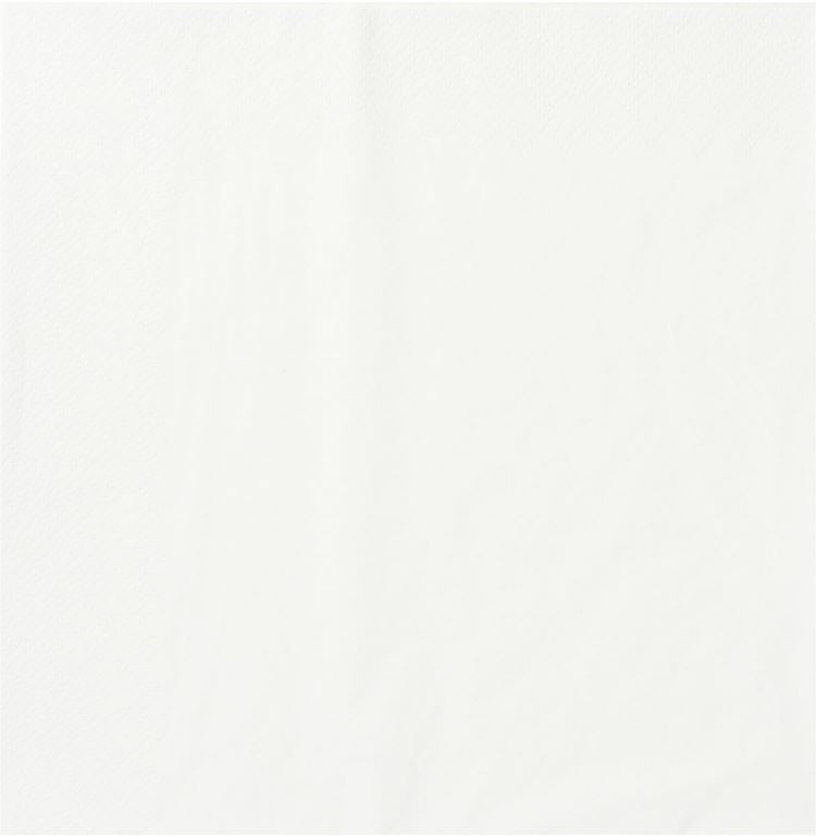 Serviette ouate 2 plis décalé 29x29cm blanche - CGMP - Carton de 3200