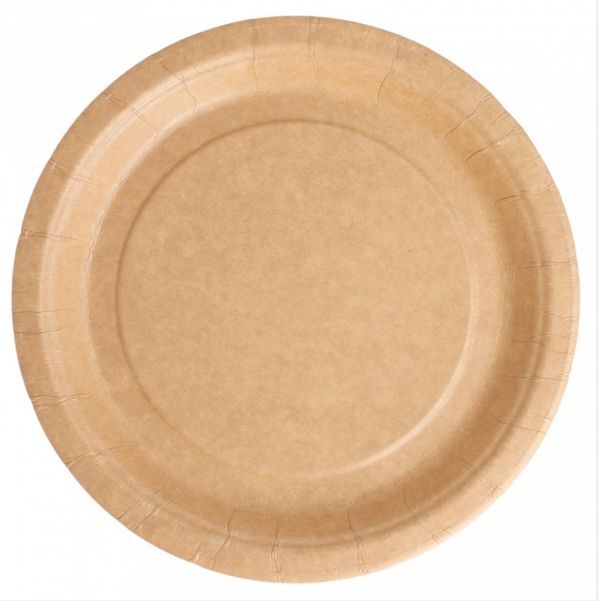 Assiette carton 100% biodégradable naturel 18cm - GDP - Carton de 400