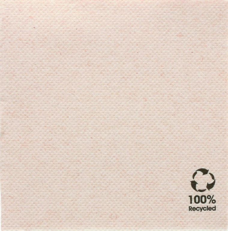 Serviette ouate double point 20x20cm naturel - GDP - Carton de 2400