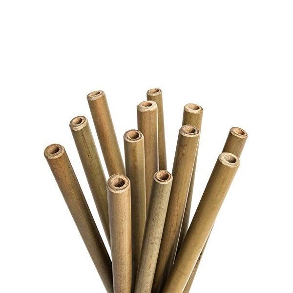 Paille bambou 20cm - LEBRUN - Boite de 24