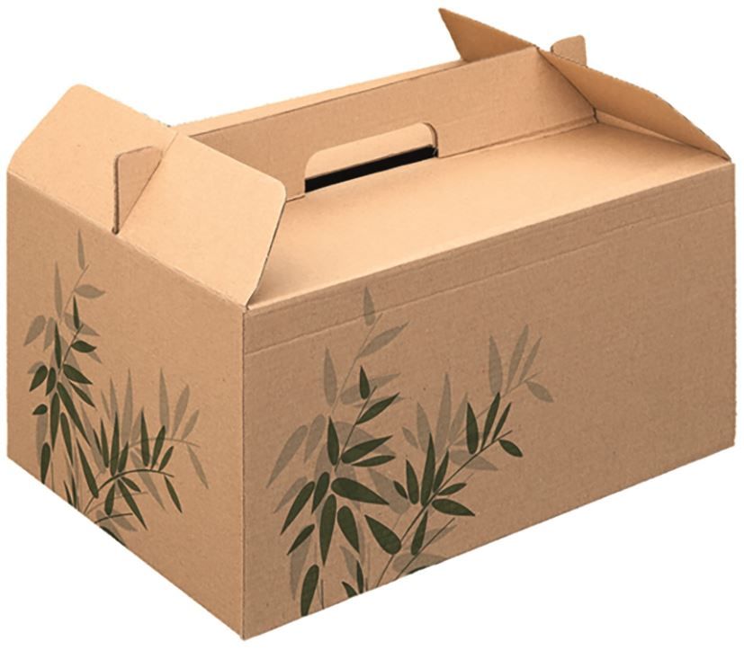 Boite carton transport repas automontable 28x20x15cm - GDP