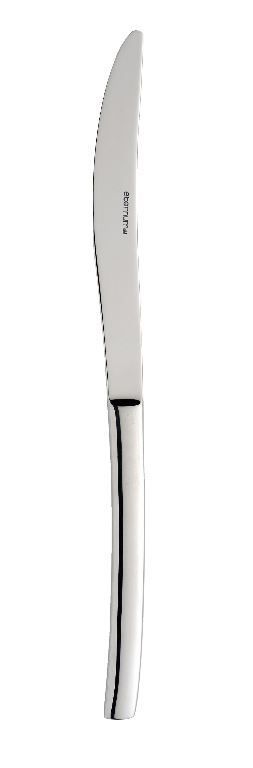 Couteau de table inox Fjord - ETERNUM - Boite de 12