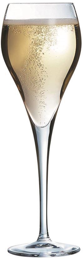 Flûte à champagne Brio 16cl - ARCOROC - Carton de 24
