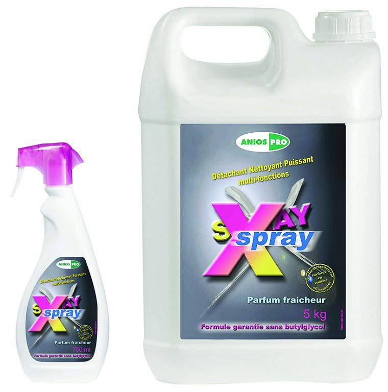 X SPRAY Anios détachant surpuissant 5L - Voussert