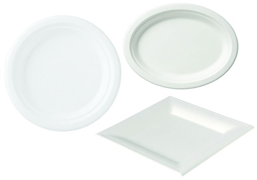 Assiettes bagasses blanches