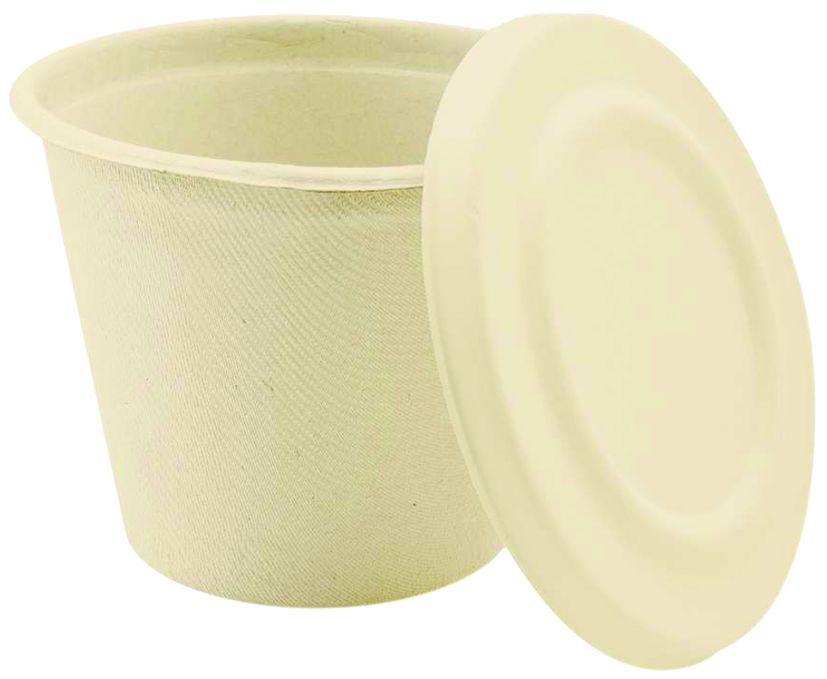 Pots / Gobelets bagasse écru