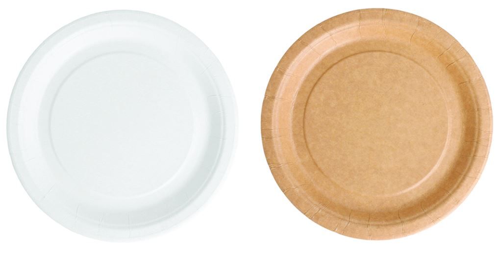 Assiettes carton 100% biodégradable rondes