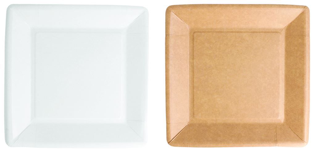 Assiettes carton 100% biodégradable carrées
