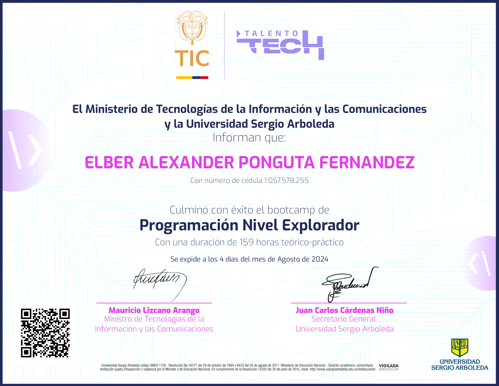 Programación NFT on Algorand