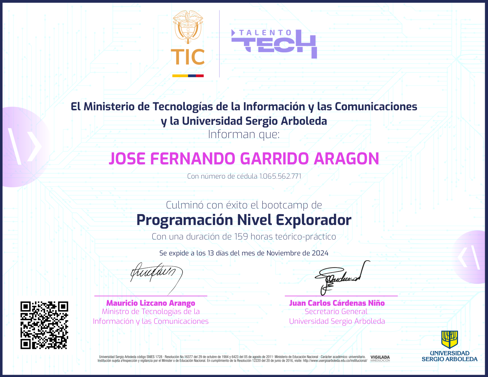 Programación NFT on Algorand