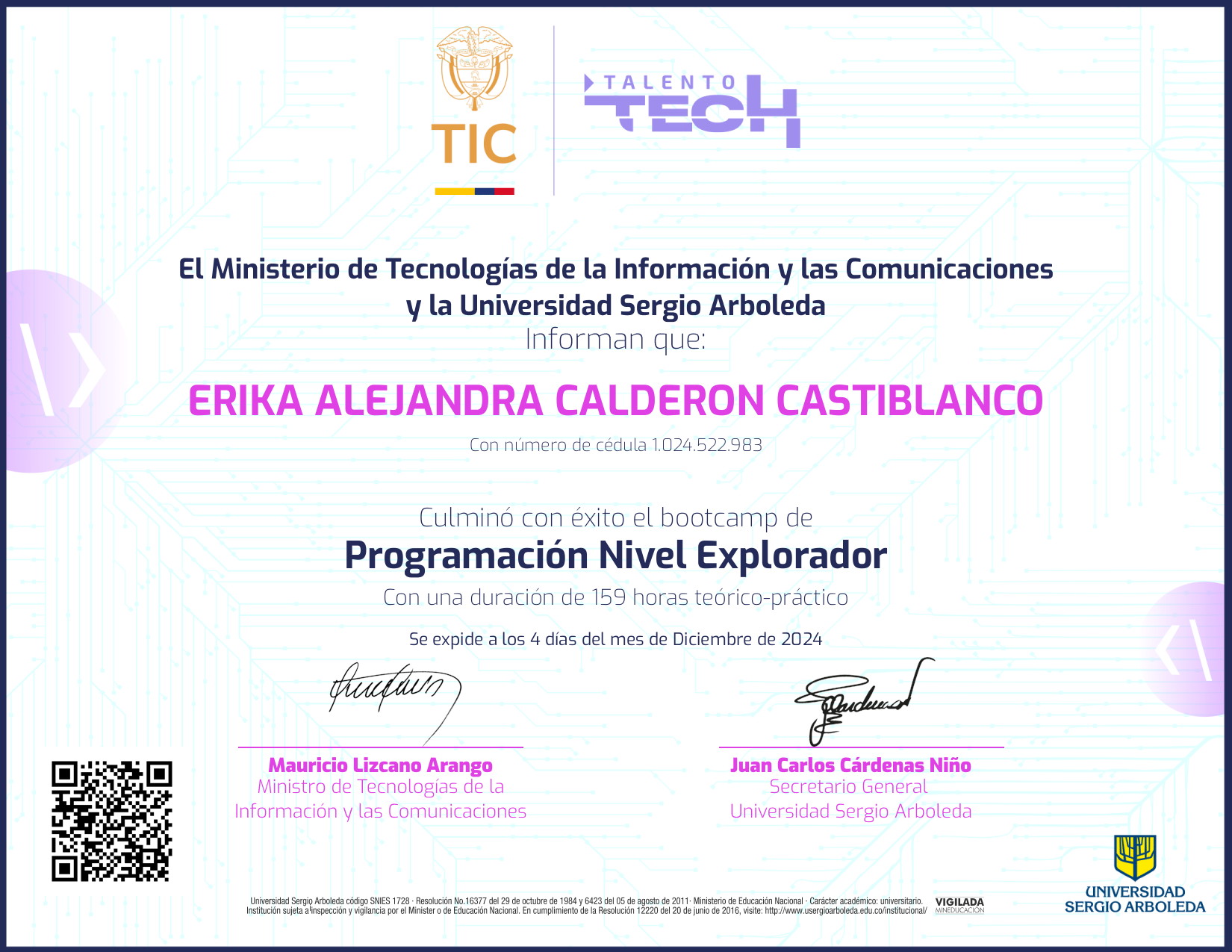 Programación NFT on Algorand